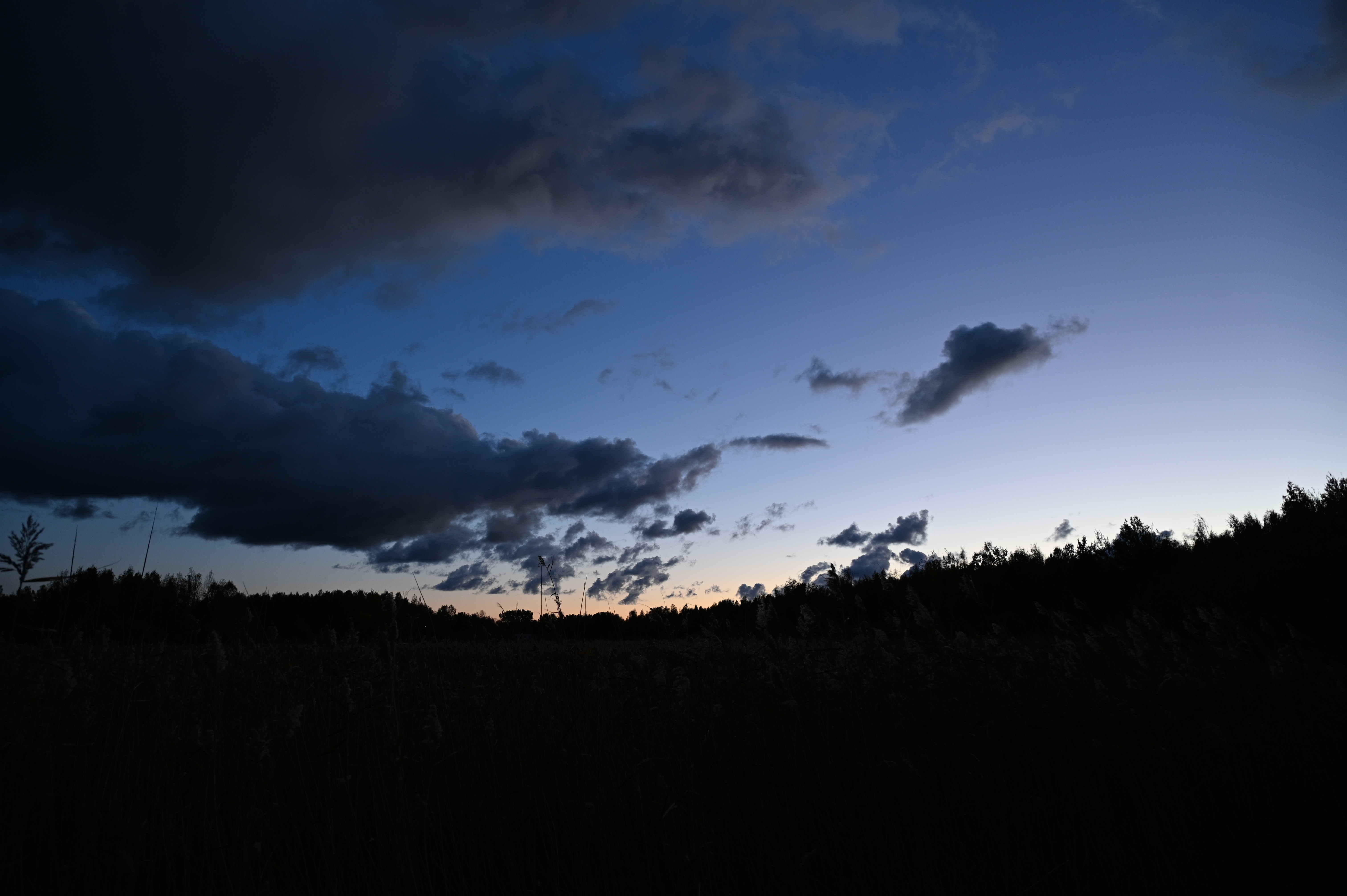 2025/10/18 - walk/DSC_0615.JPG